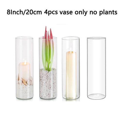 Glass Cylinder Vases 4 6 8 Inch Tall Clear Flower Vase Hurricane Floating Candle Holder for Table Centerpiece Wedding Home Decor