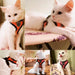 Cat Harness Vest Walking Lead Leash for Puppy Dogs Collar Polyester Adjustable Mesh Dog Harness for Small Medium Pet Accessories