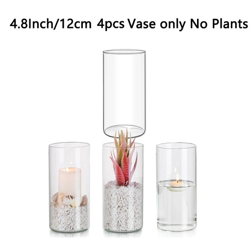 Glass Cylinder Vases 4 6 8 Inch Tall Clear Flower Vase Hurricane Floating Candle Holder for Table Centerpiece Wedding Home Decor