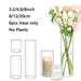 Glass Cylinder Vases 4 6 8 Inch Tall Clear Flower Vase Hurricane Floating Candle Holder for Table Centerpiece Wedding Home Decor